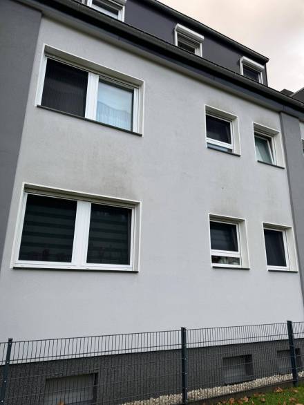 FliegengitterSanktaugustin (1)